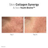Advanced Nutrition Programme - Skin Collagen Synergy - Nahrungsergänzung - Advanced Nutrition Programme - ZEITWUNDER Onlineshop - Kosmetik online kaufen