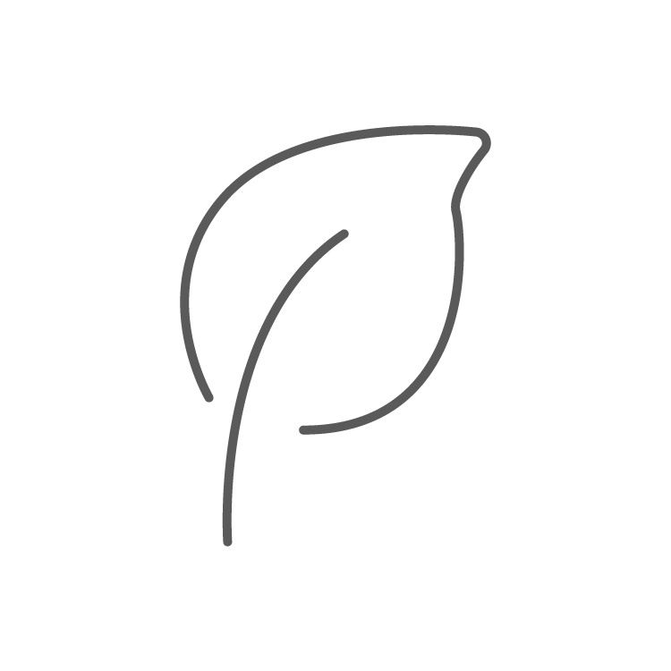 ZEITWUNDER - ANP Advanced Nutrition Programme Pflanzliche Inhaltsstoffe
