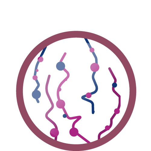 ZEITWUNDER Hautberatung - Icon Rosacea