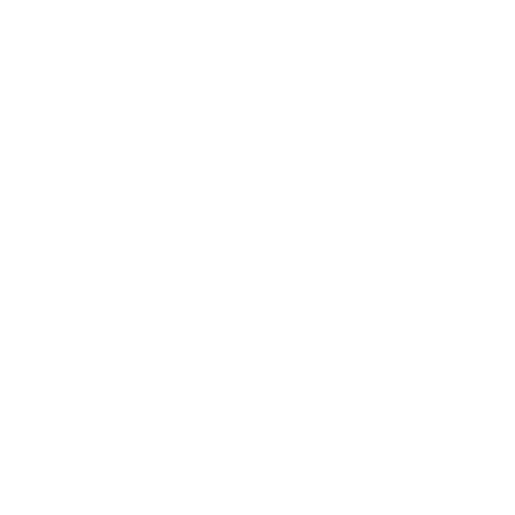 ENVIRON Aktivkohle Grafik